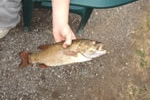 dscf0383
