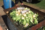 dscf0391